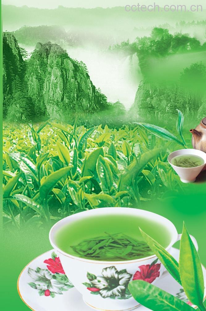 果蔬百科毛尖茶-0