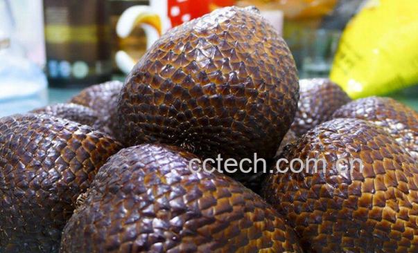 果蔬百科蛇皮果的营养价值与功效-0