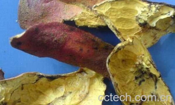 果蔬百科石榴皮-0