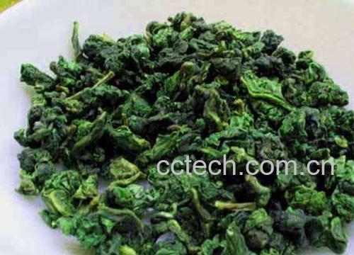 果蔬百科碧螺春外形-0