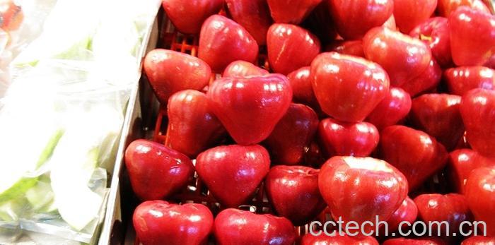 果蔬百科莲雾好吃吗 莲雾的吃法有哪些-0