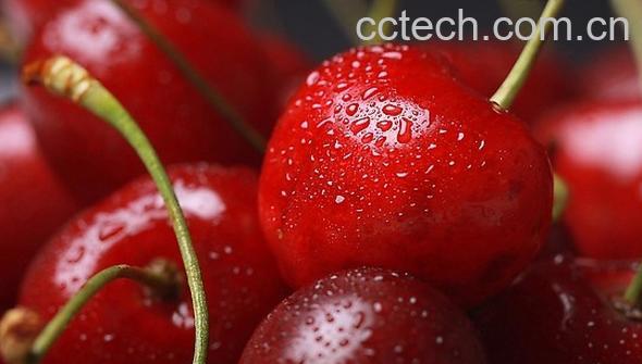 果蔬百科樱桃的营养价值及功效-0