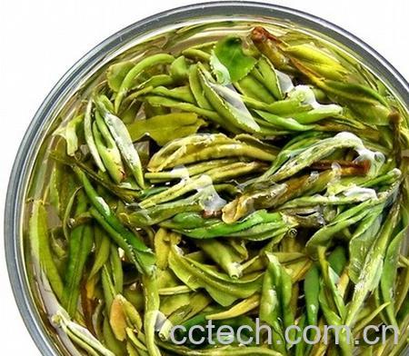 果蔬百科黄山毛峰茶叶-0