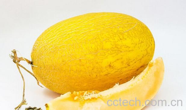 果蔬百科空腹吃哈密瓜好吗-0