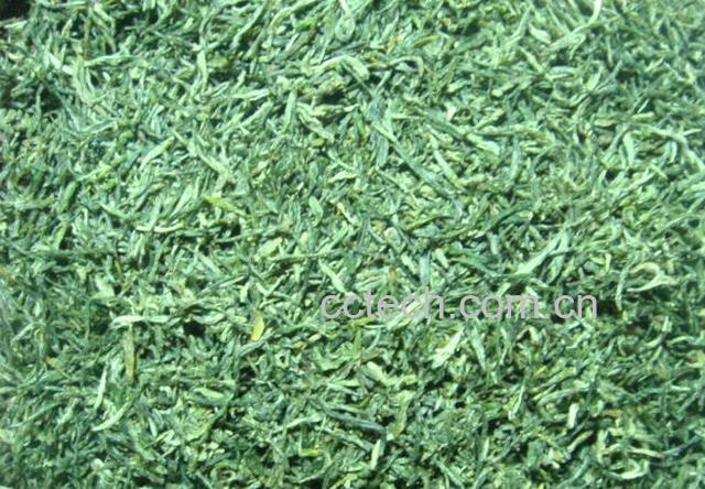 果蔬百科毛尖茶有什么好处-0