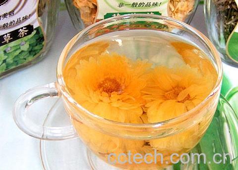 果蔬百科金莲花茶-0