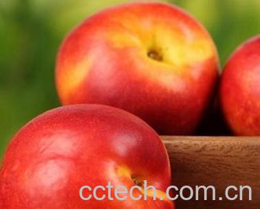 果蔬百科油桃的营养价值有哪些-0