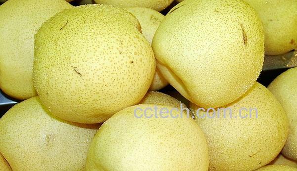 果蔬百科五类水果止咳化痰效果好-0