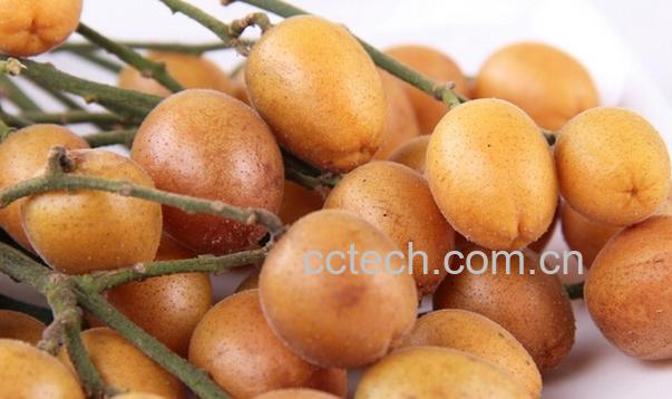 果蔬百科黄皮的功效与作用-0