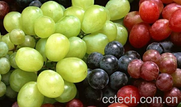 果蔬百科哪些水果能解酒-0