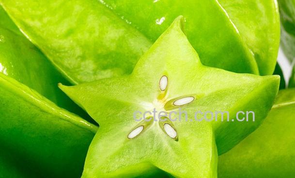 果蔬百科杨桃怎么吃好-0