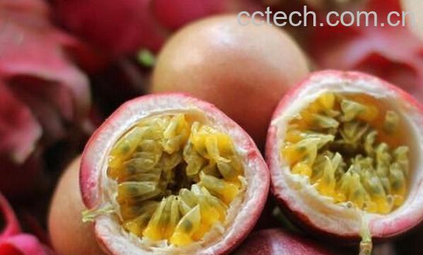 果蔬百科孕妇能吃百香果吗-0