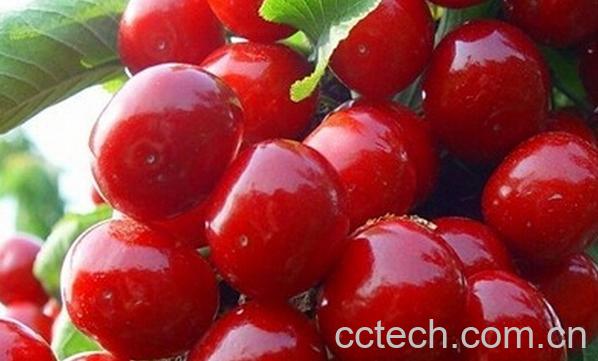 果蔬百科糖尿病能吃什么水果-0