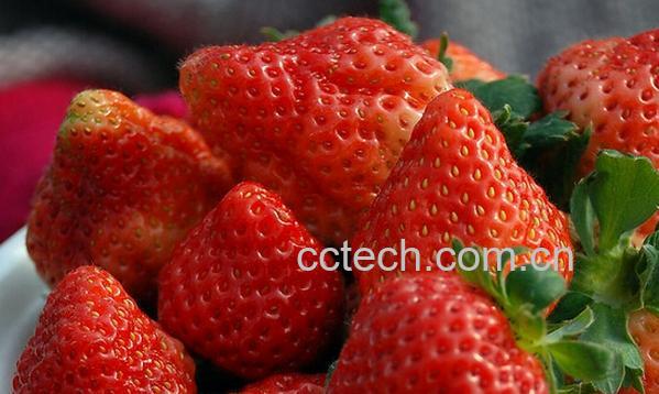 果蔬百科草莓的营养价值与功效-0