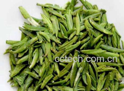 果蔬百科贵定云雾茶-0