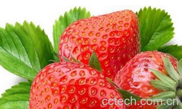 果蔬百科春天吃什么水果好-0