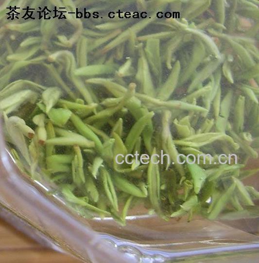 果蔬百科毛峰茶-0