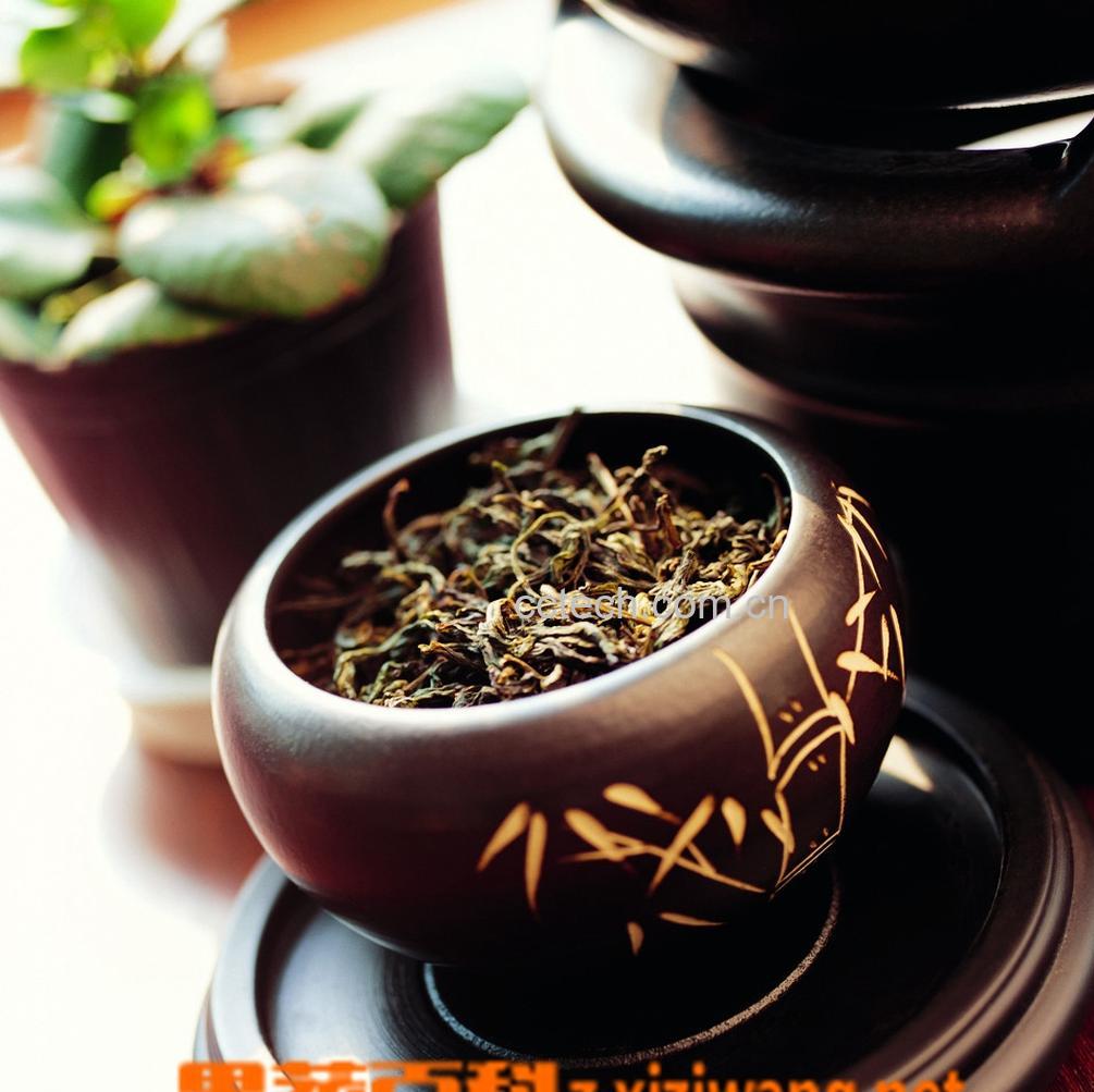 果蔬百科茶与健康-0