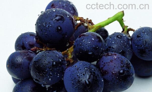 果蔬百科葡萄吃多了有哪些坏处-0