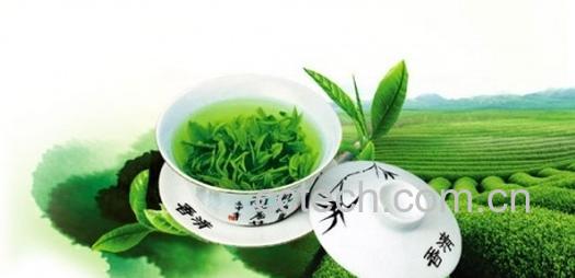 果蔬百科茶叶的功能-0