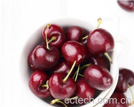 果蔬百科樱桃怎么保存才新鲜-0