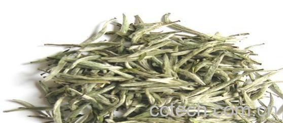 果蔬百科福鼎白茶-0