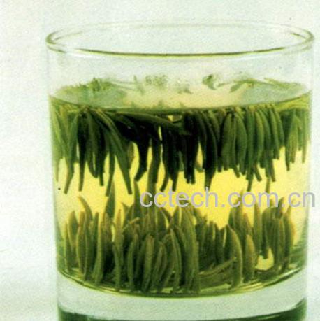 果蔬百科黄茶-0