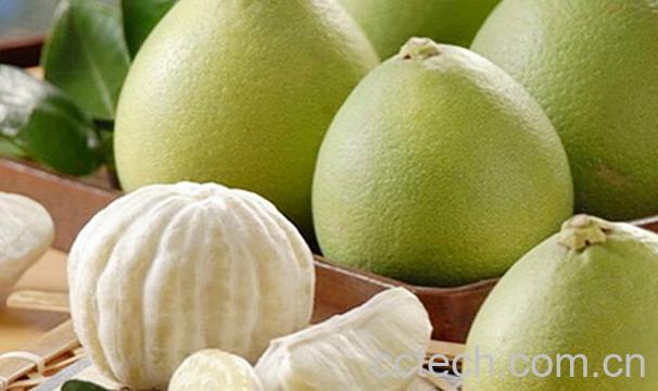 果蔬百科孕妇能吃柚子吗-0