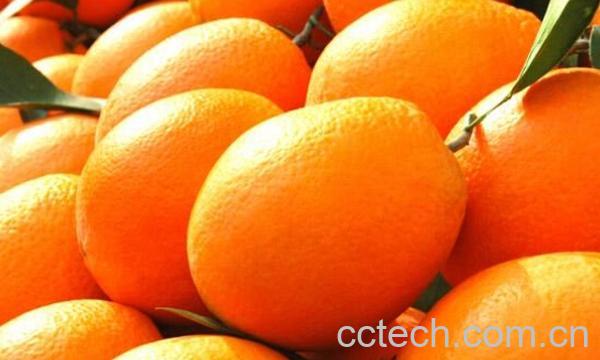 果蔬百科吃脐橙会上火吗-0