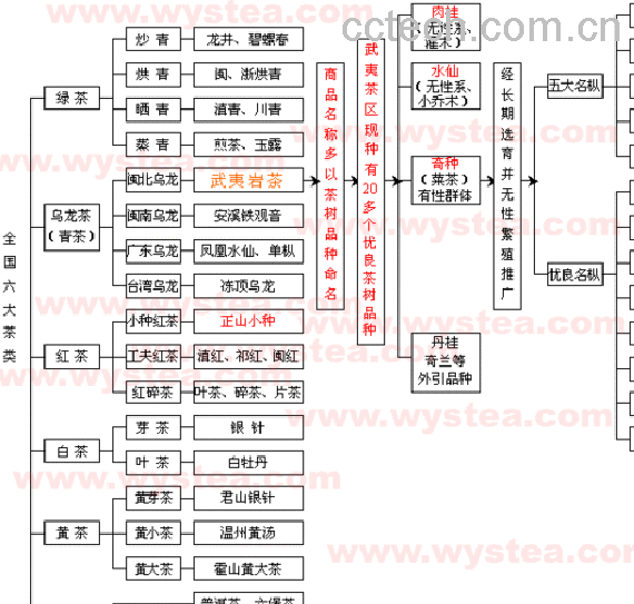 果蔬百科茶叶分类-0
