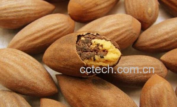 果蔬百科香榧是什么-0