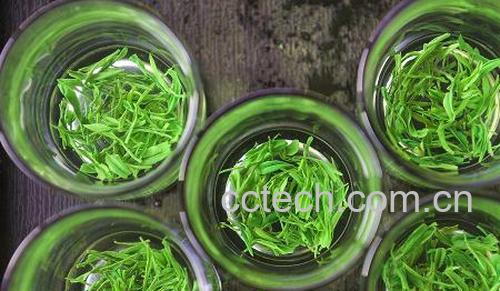 果蔬百科恩施玉露茶-0