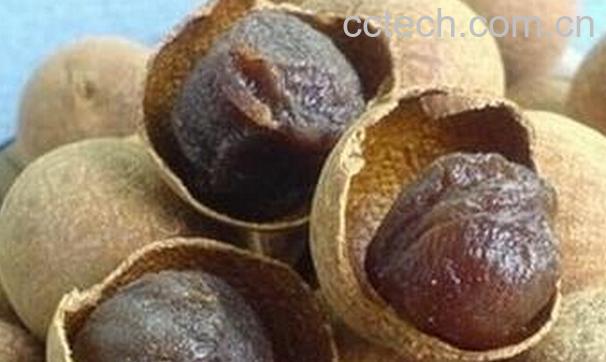 果蔬百科桂圆怎么吃不上火-0