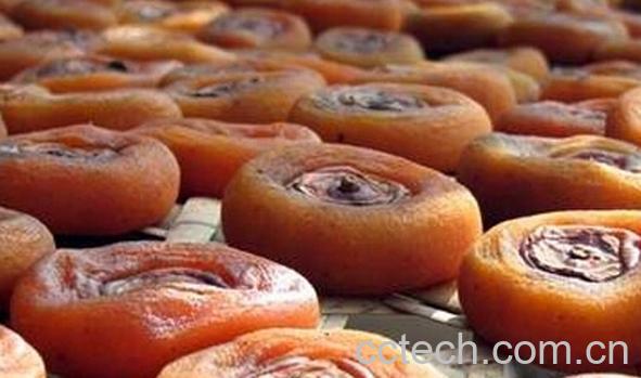 果蔬百科柿子饼-0