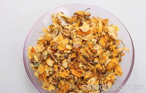 果蔬百科金莲花茶-0