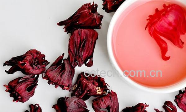 果蔬百科洛神花茶的功效-0