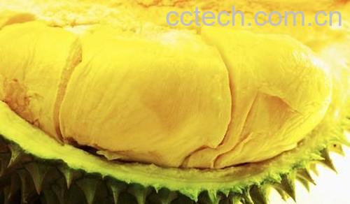 果蔬百科吃榴莲的好处和禁忌 -0