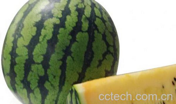 果蔬百科如何挑选小玉西瓜-0