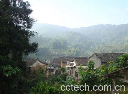 果蔬百科普洱茶的产地在哪-0