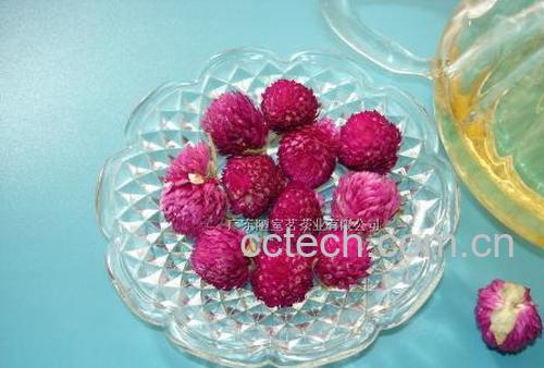 果蔬百科红花茶的功效与作用-0