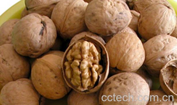 果蔬百科新鲜核桃和干核桃哪个营养价值高-0