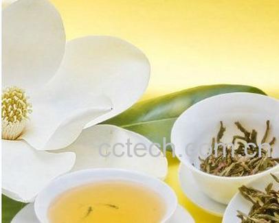 果蔬百科蒲公英茶的作用与功效-0