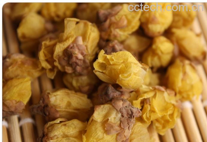 果蔬百科腊梅花茶功效-0