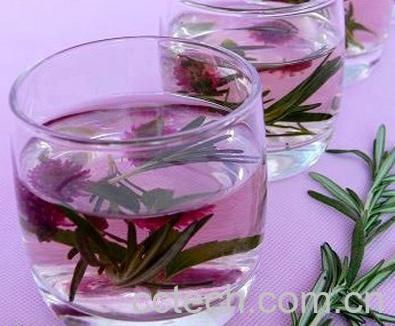 果蔬百科迷迭香茶-0