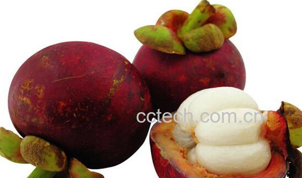 果蔬百科吃山竹有哪些禁忌-0