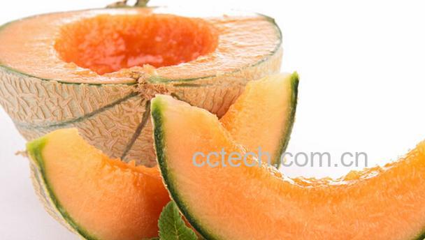 果蔬百科孕妇可以吃哈密瓜吗-0