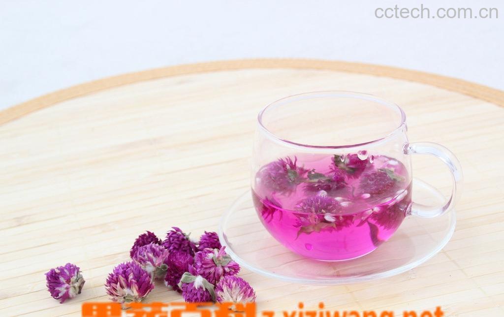 果蔬百科千日红茶-0