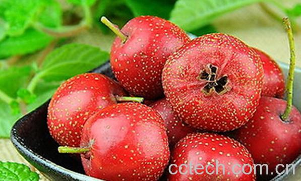 果蔬百科孕妇吃山楂的好处和坏处-0