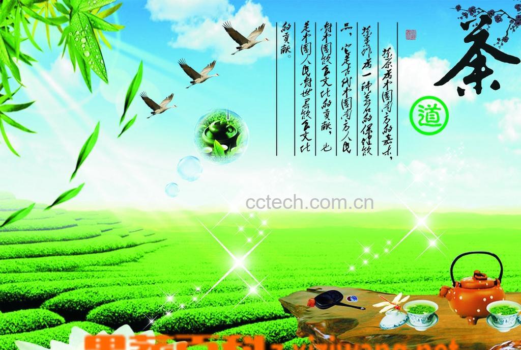 果蔬百科饮茶文化-0