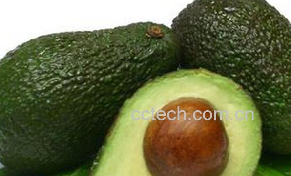 果蔬百科鳄梨是什么 鳄梨怎么吃-0